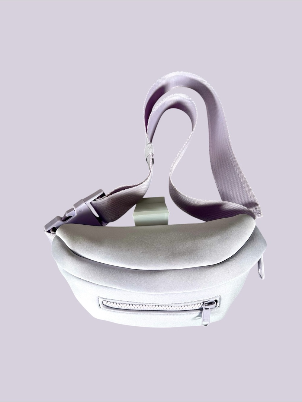 NWT Dagne Dover Ace Fanny Pack bag